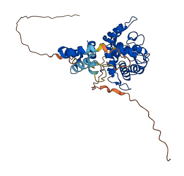 GFRA3 3D structure