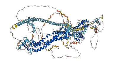DIAPH1 3D structure