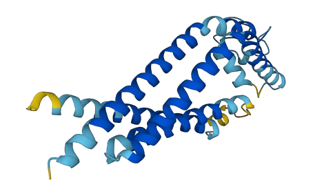 TSPAN2 3D structure