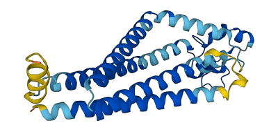 TSPAN3 3D structure