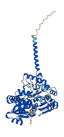 UGT1A9 3D structure