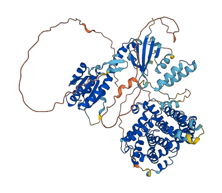PDE8A 3D structure