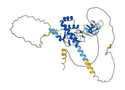 LMX1B 3D structure