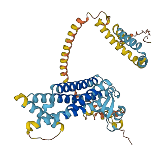 PLIN3 3D structure