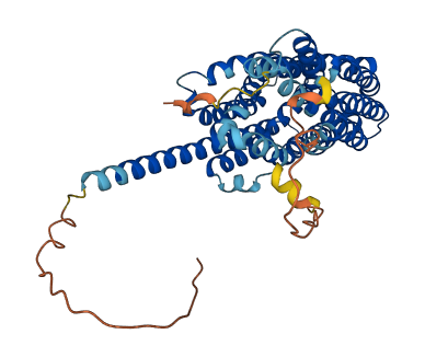 SLC16A7 3D structure