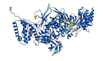 JAK2 3D structure