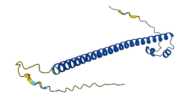 MAFK 3D structure