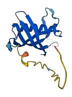 CST8 3D structure