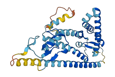 PEX10 3D structure