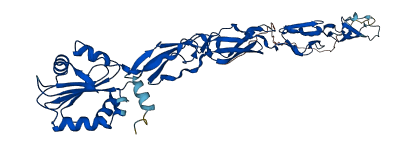 SRPX2 3D structure