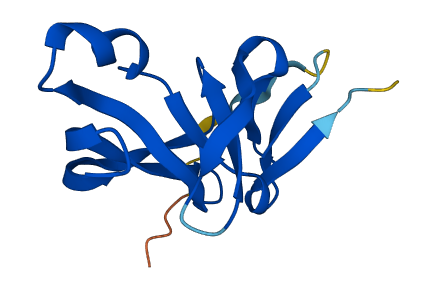 YPEL1 3D structure