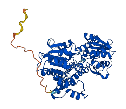 UGDH 3D structure