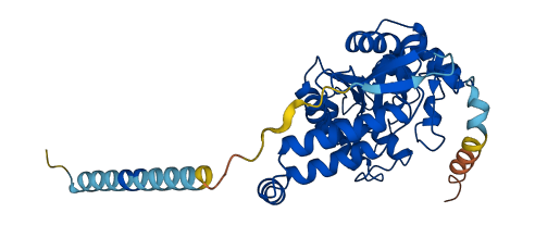 TPST2 3D structure