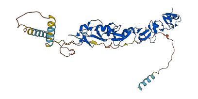 LPXN 3D structure