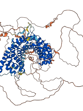 CTNND1 3D structure