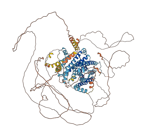 SLC24A1 3D structure