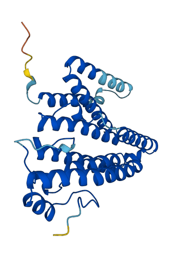 ICMT 3D structure
