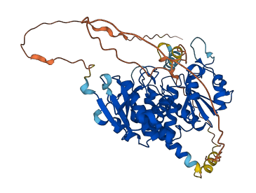 CDC14B 3D structure