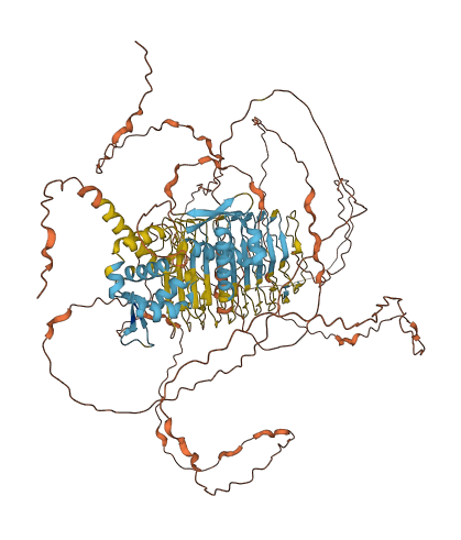MAGEC1 3D structure