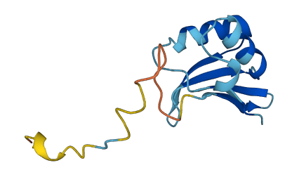 EIF1B 3D structure