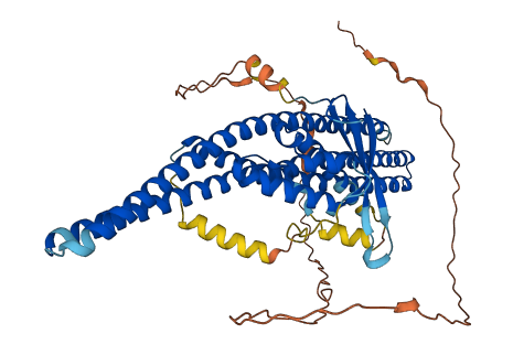 SNX2 3D structure