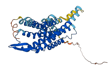 GALR3 3D structure
