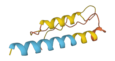 BCE1 3D structure