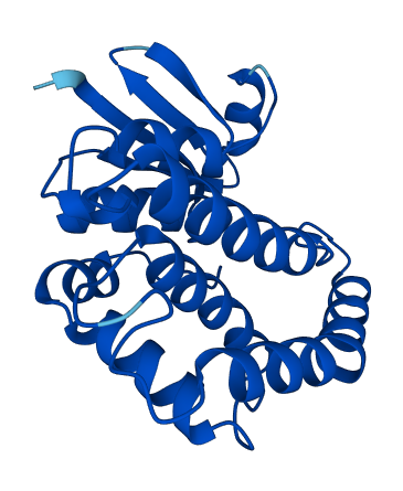 HPGDS 3D structure