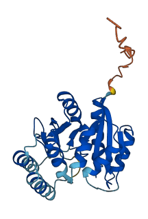 DPM1 3D structure