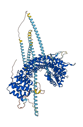 USO1 3D structure