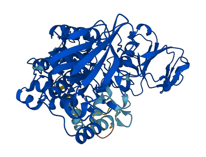 FMO6P 3D structure