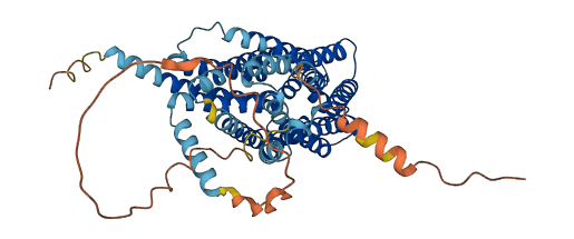 SLC19A2 3D structure
