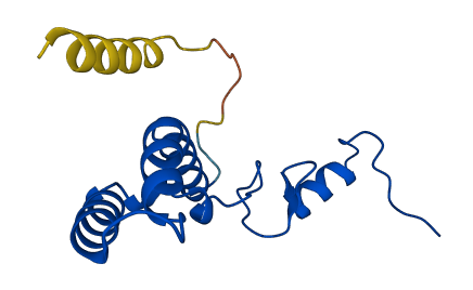 MRPS14 3D structure