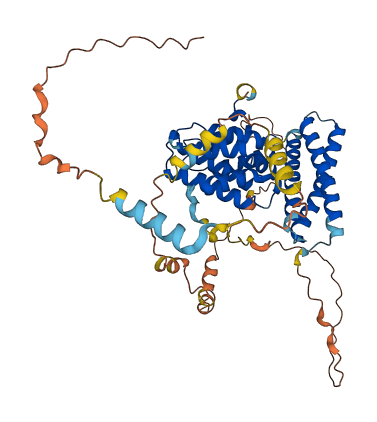 TOM1 3D structure