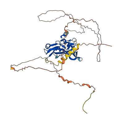 TBX19 3D structure