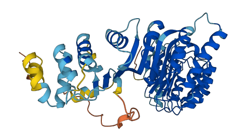 PRAMEF4 3D structure