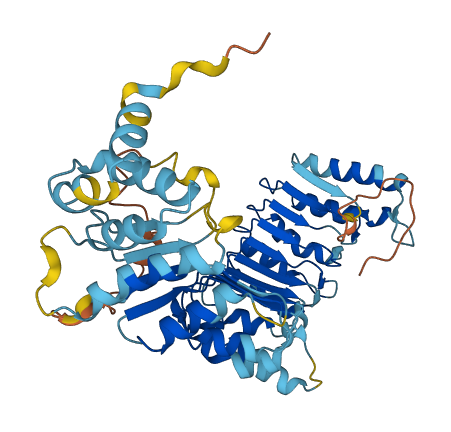 PRAMEF2 3D structure