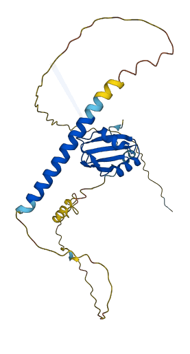 HNRNPCL1 3D structure