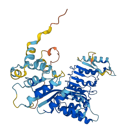 PRAMEF11 3D structure