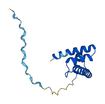 H2BC12 3D structure