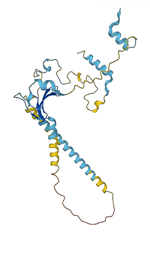 PQBP1 3D structure