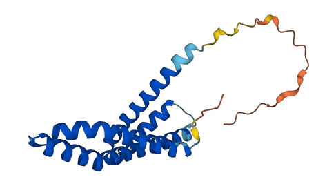 TIMM17B 3D structure