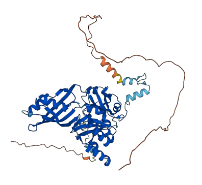 DKC1 3D structure