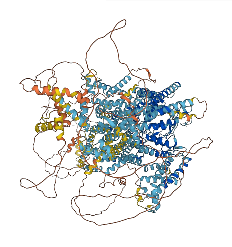 CACNA1F 3D structure