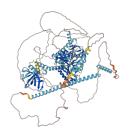 EIF5B 3D structure