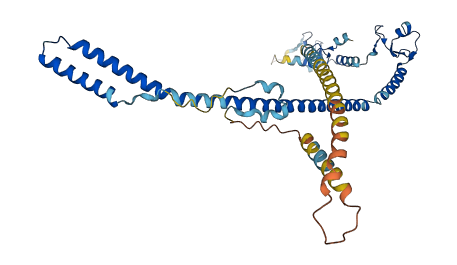 TRIM13 3D structure
