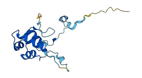 EDF1 3D structure