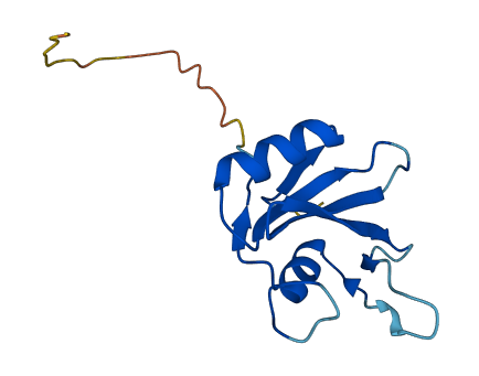 SH2D1A 3D structure