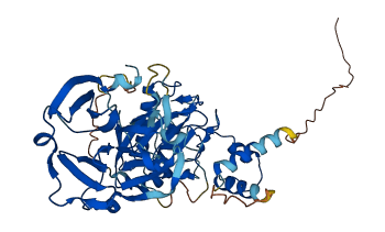 MMP20 3D structure