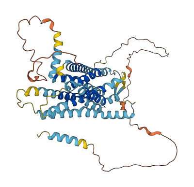 GPR37L1 3D structure